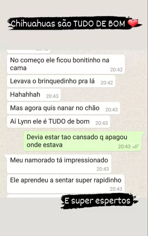 Clientes Felizes
