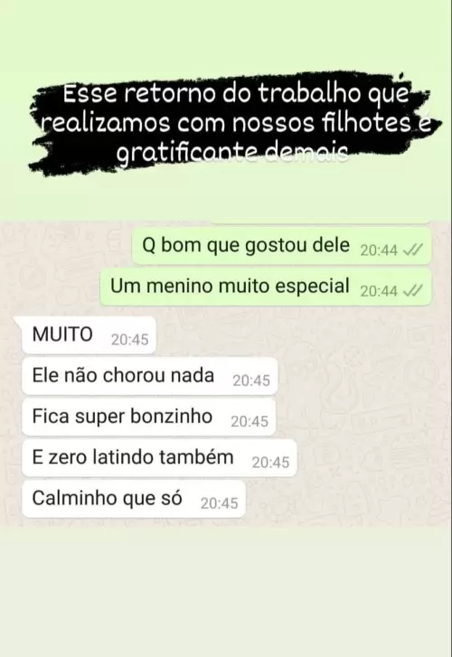 Clientes Felizes