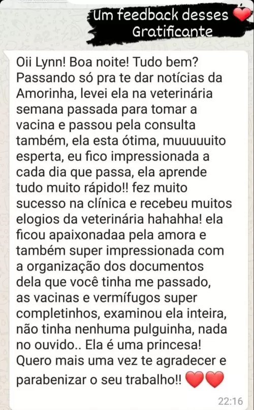 Clientes Felizes
