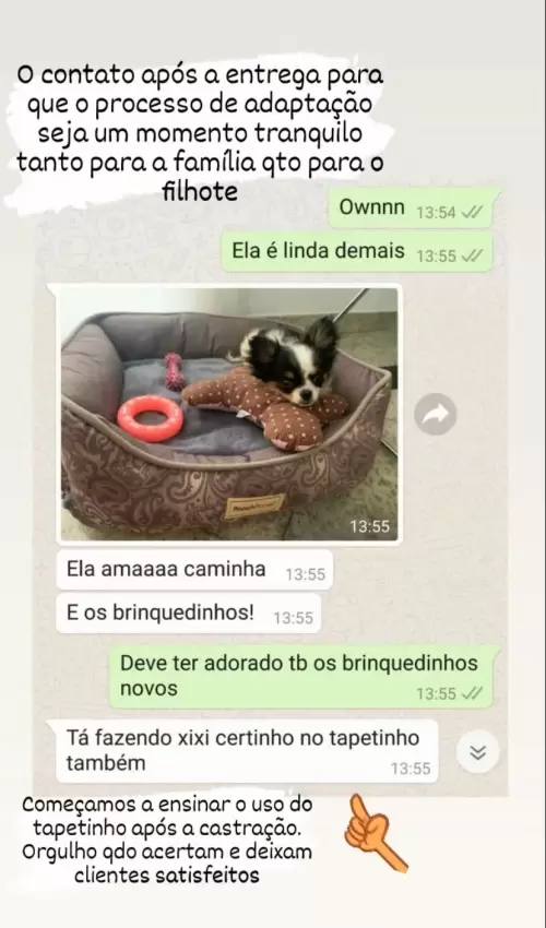 Clientes Felizes