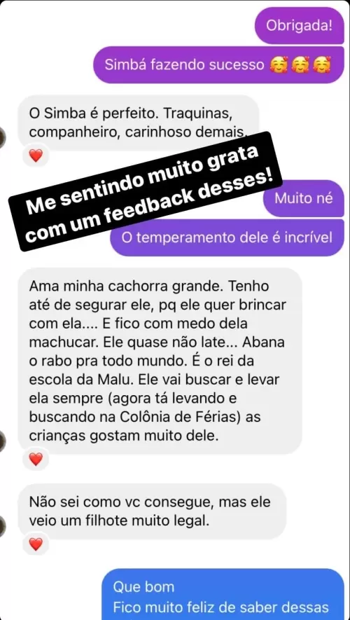 Clientes Felizes