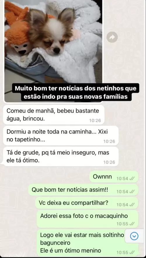 Clientes Felizes