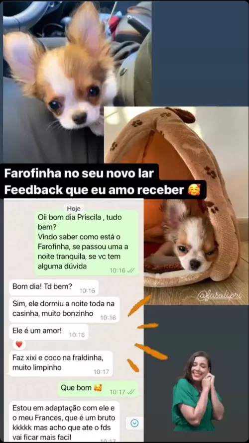 Clientes Felizes