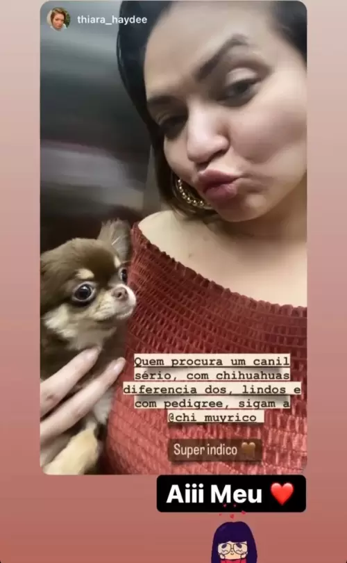 Clientes Felizes