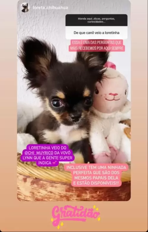 Clientes Felizes
