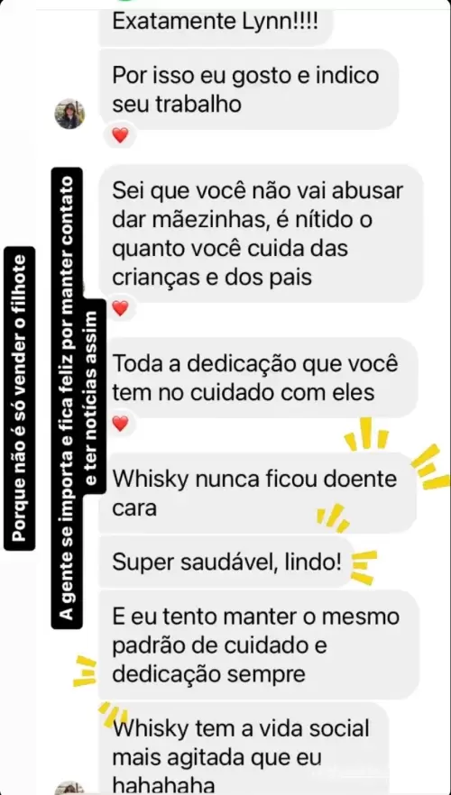 Clientes Felizes