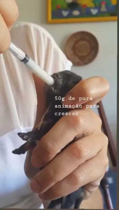 Dia a Dia