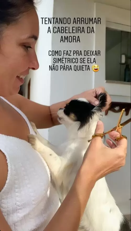Dia a Dia