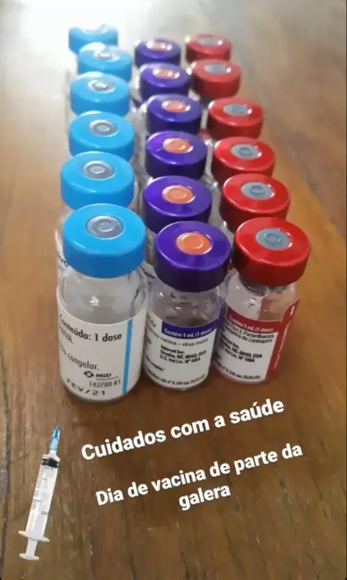 Dia a Dia