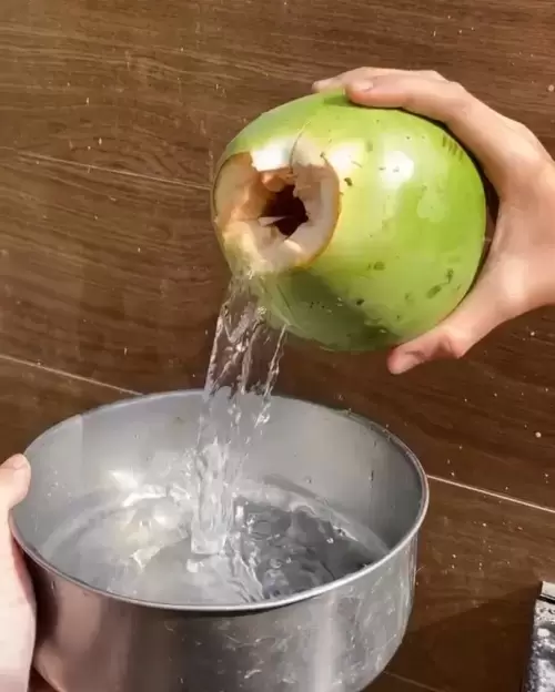 Dia a Dia
