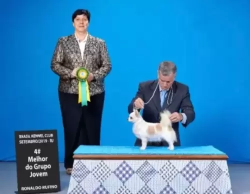 Exposições	
