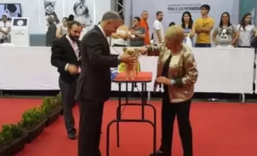 Exposições	