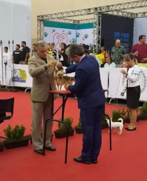 Exposições	