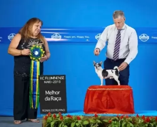 Exposições	