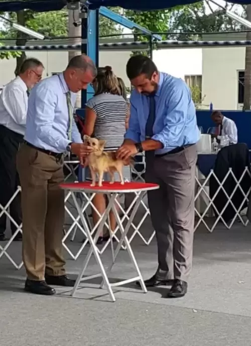 Exposições	